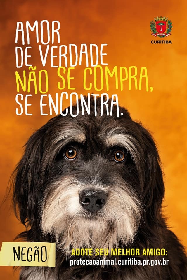 WhatsApp Image 2019-06-11 at 10.53.27 (3)