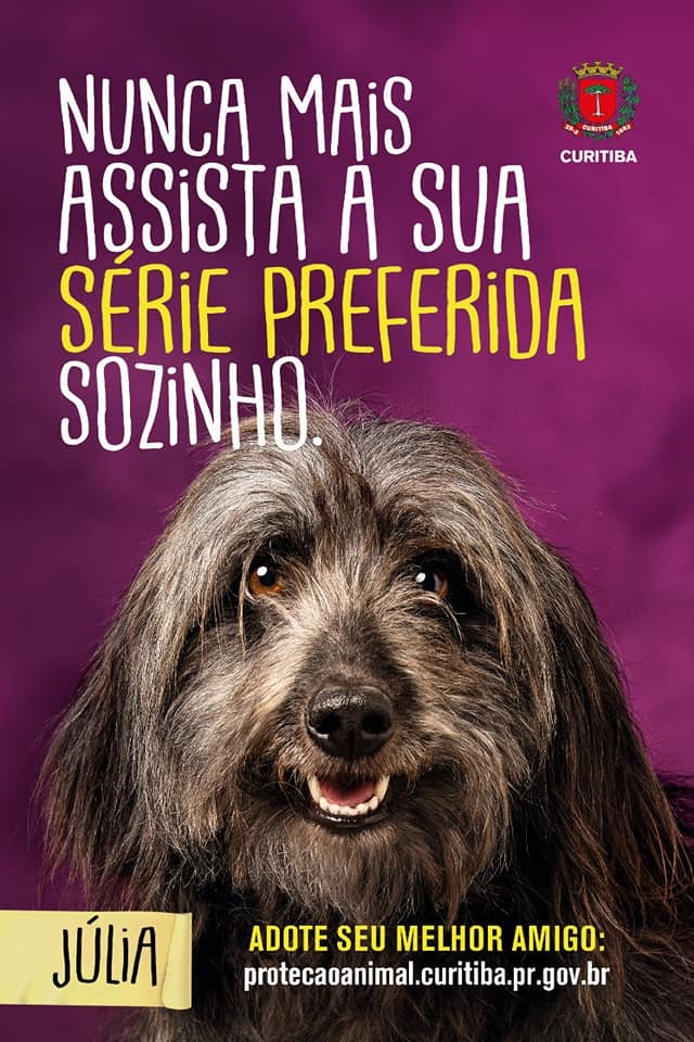 WhatsApp Image 2019-06-11 at 10.53.27