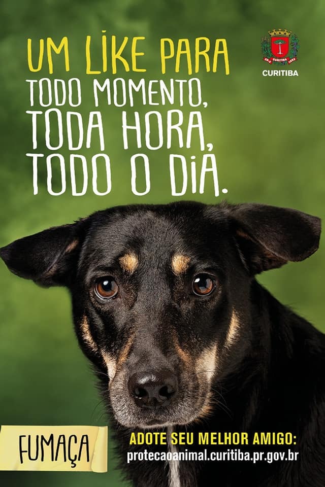 WhatsApp Image 2019-06-11 at 10.53.28