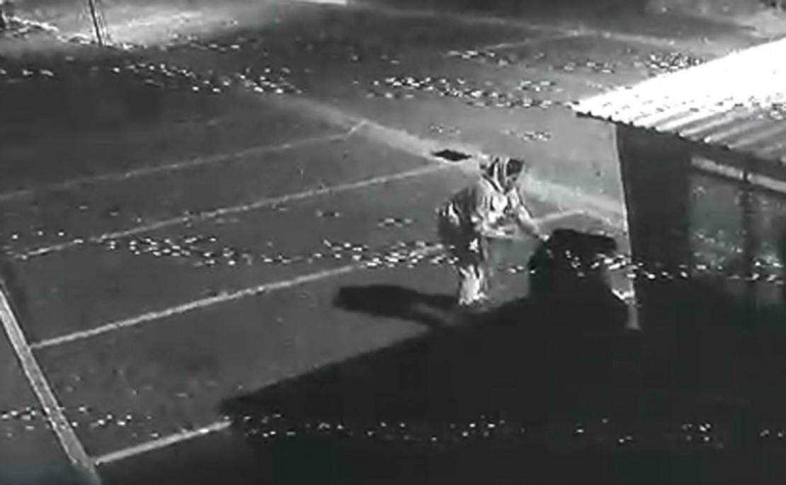 Ação do assassino foi flagrada por uma câmera de segurança. Foto: Reprodução.