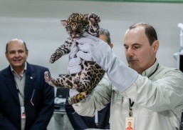 Foto: Divulgação/Alexandre Marchetti.