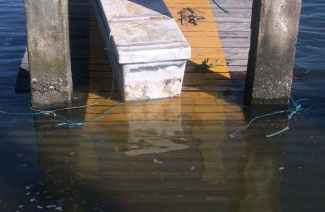 Trapiche embaixo d’água virou rotina na Ilha do Mel. Foto: Animpo/ Colaboração