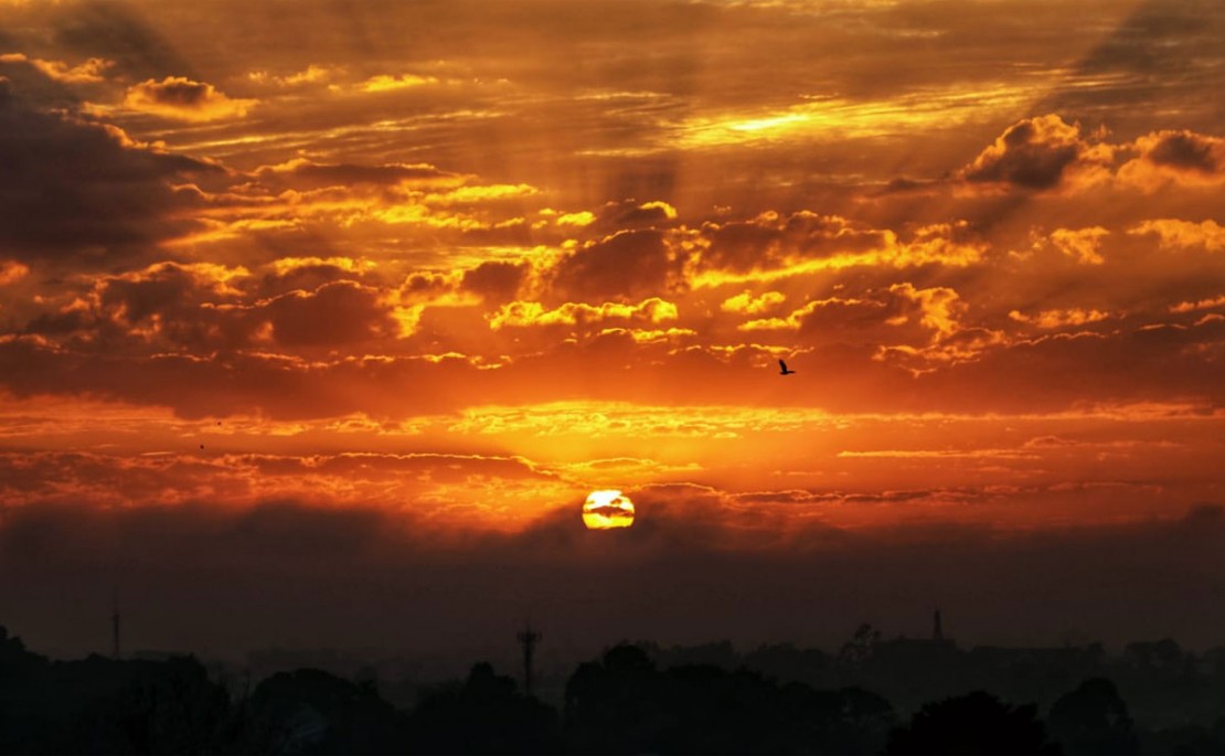 Foto: Hamilton Bruschz/Tribuna do Paraná