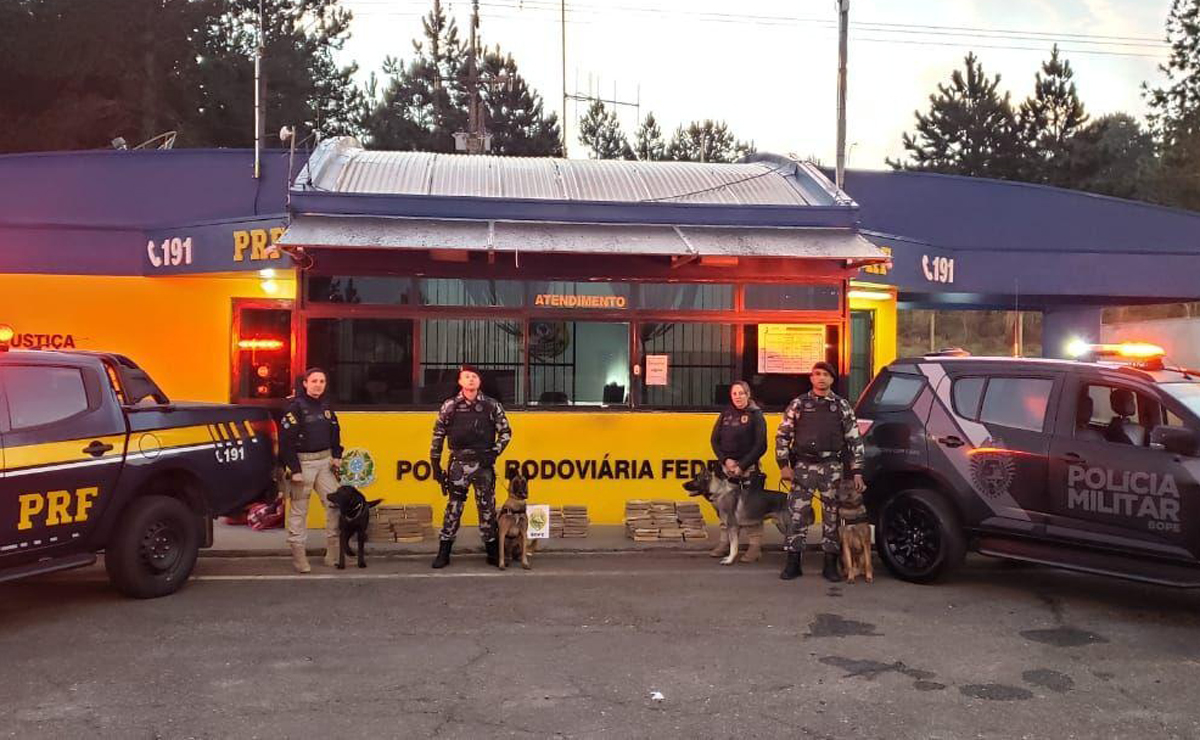 Ação teve participação de equipes da PRF e da PM. Foto: Divulgação/PRF