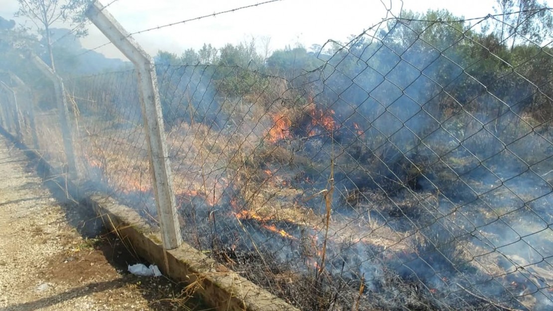 Foto: Eduardo Luiz/Tribuna do Paraná