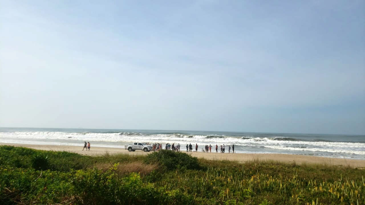 CEM isolou a área onde o animal foi encontrado. Foto: Almir Alves/ Colaboração.