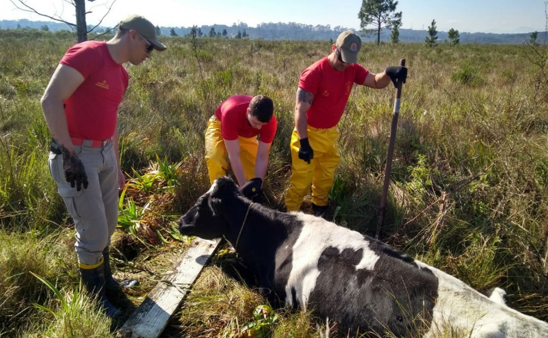 Foto: Gerson Klaina/Tribuna do Paraná.