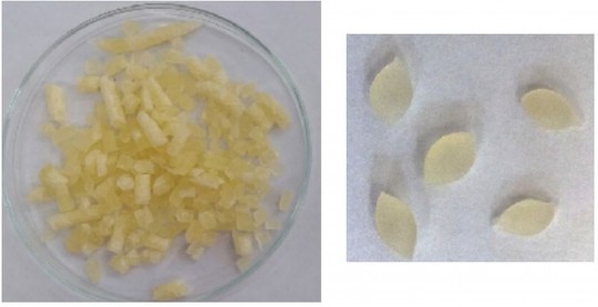 Cápsulas de óleo de tomilho com amido de milho. Foto: Ana Silvia Prata