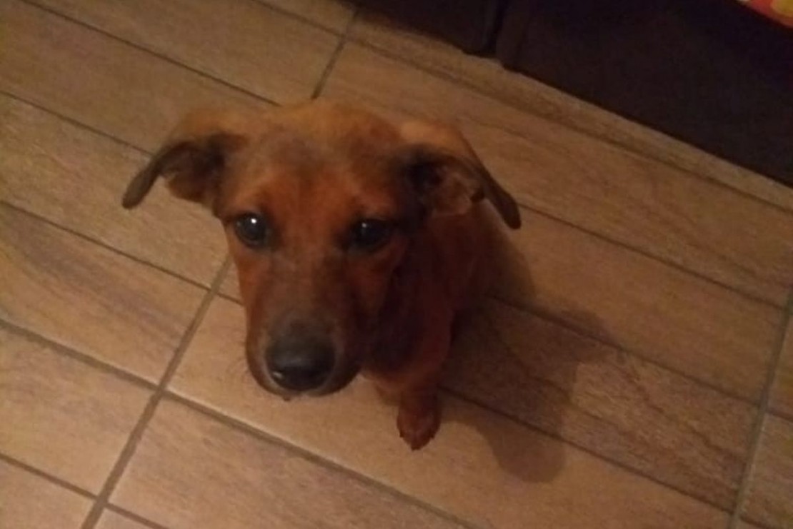 Foto: Arquivo pessoal/Ester Ganzer da Cruz