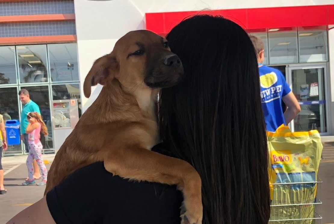 Foto: Divulgação/Condor