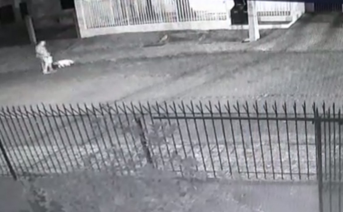 Imagens começam com o homem passeando com o cachorro em na Rua Acre, no bairro Água Verde. Fotos: Reprodução.