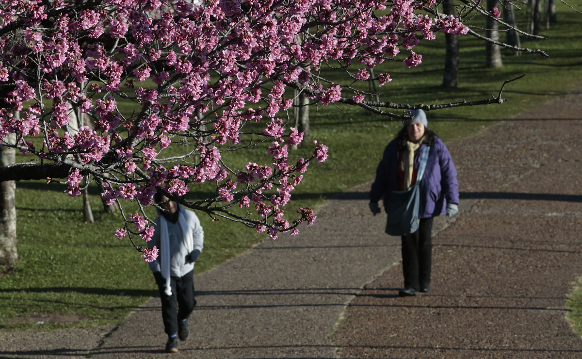 Foto: Aniele Nascimento.