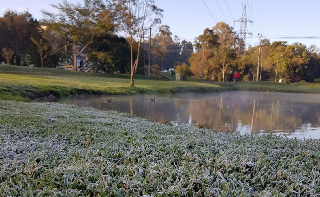Foto: Giselle Ulbrich/Tribuna do Paraná.