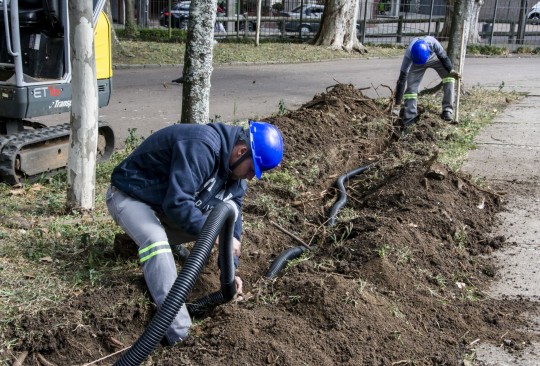 Passeio Público vai ganhar nova iluminação. Foto: Levy Ferreira/SMCS