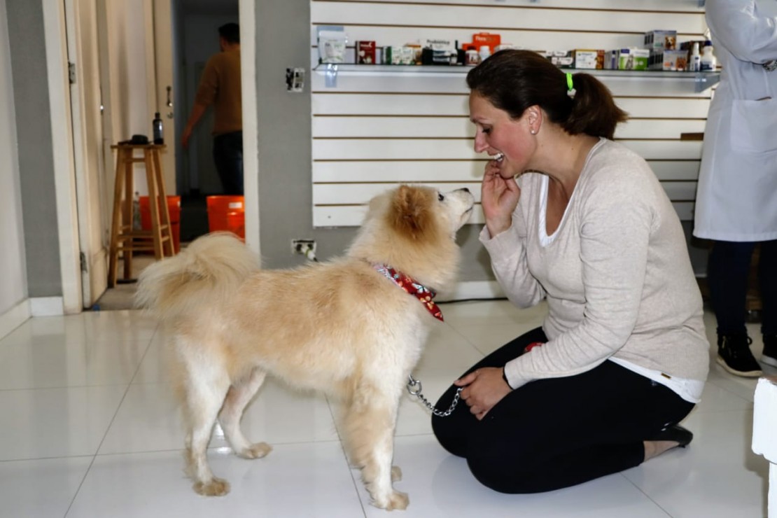 Foto: Átila Alberti/Tribuna do Paraná