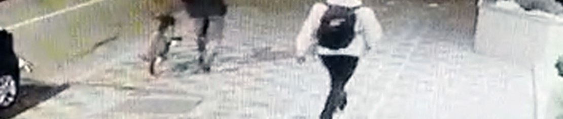 Imagem mostra o marginal, de preto, atacando o militar, que está de branco e mochila. Foto: Reprodução.