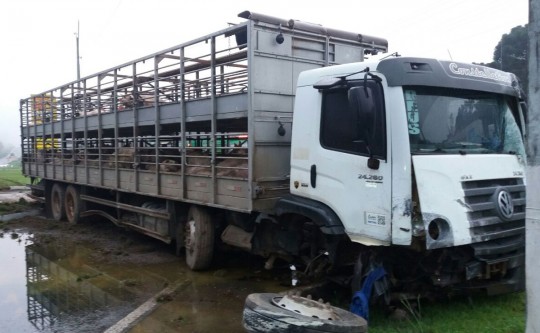 Foto: Divulgação/PRF.