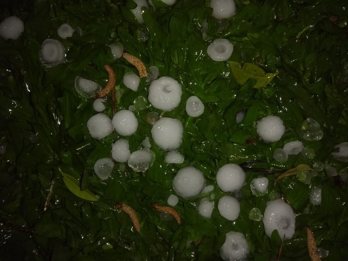 Foto: Lineu Filho/Tribuna do Paraná