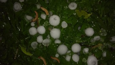 Foto: Lineu Filho/Tribuna do Paraná