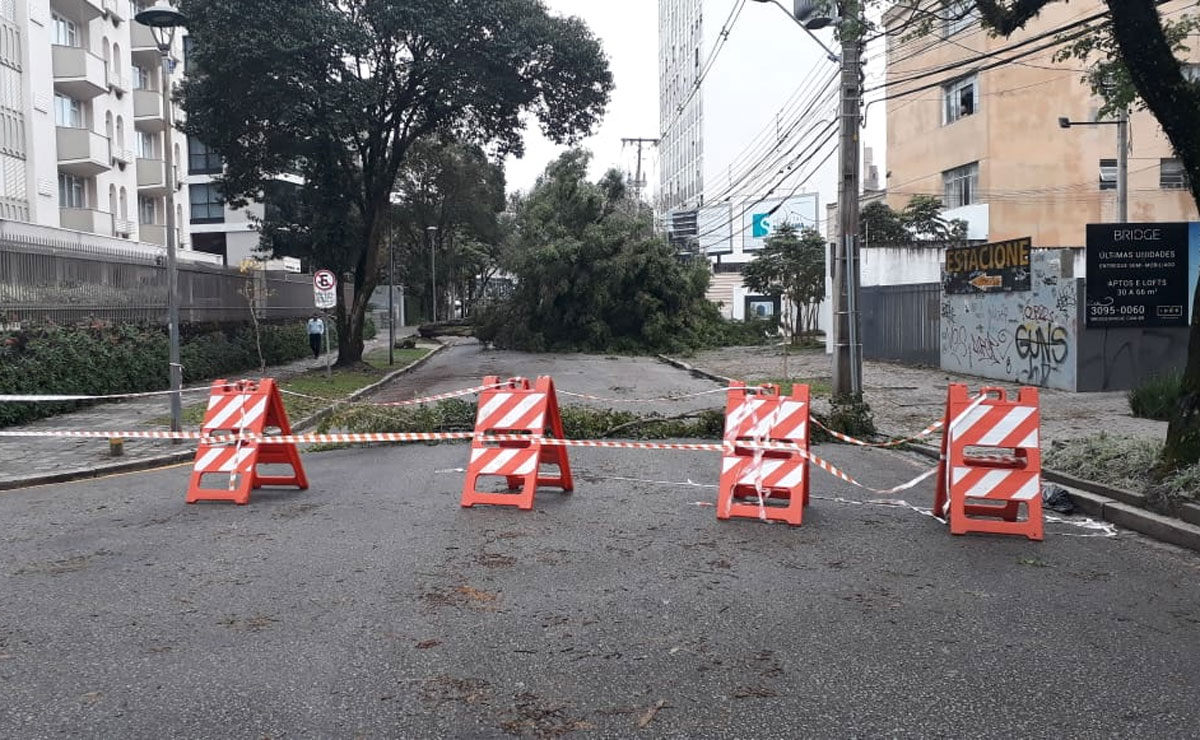 Na região do Batel, muitas árvores foram atingidas pela chuva. Foto: Divulgação/SMCS