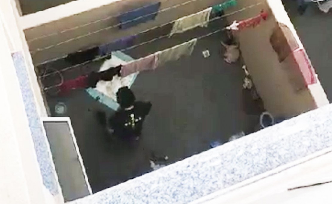 Vizinha flagrou em vídeo o homem agredindo o cachorro da raça Pug. Foto: Reprodução/Polícia Civil.