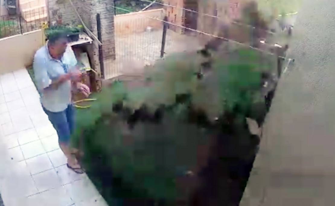 Vídeo mostra o paranaense tentando acabar com pragas no quintal de casa. Foto: Reprodução/WhatsApp.