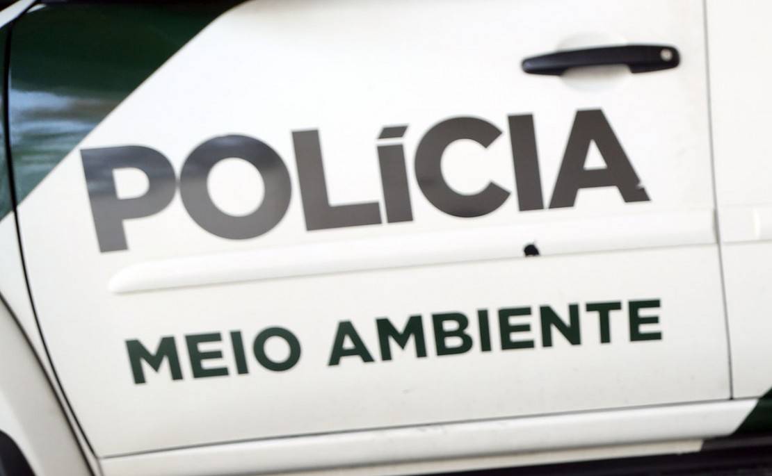 Foto: Átila Alberti/Tribuna do Paraná.