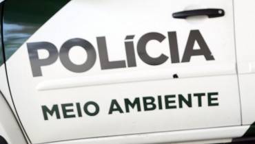 Foto: Átila Alberti/Tribuna do Paraná.