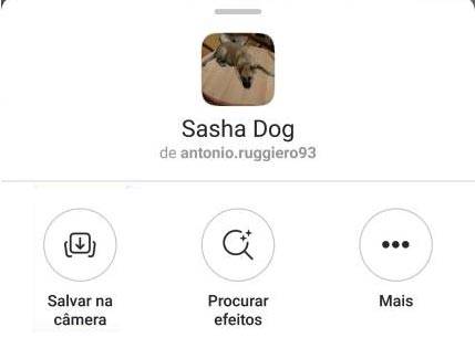 Como utilizar o filtro do Cachorro do Instagram. Salvar na câmera