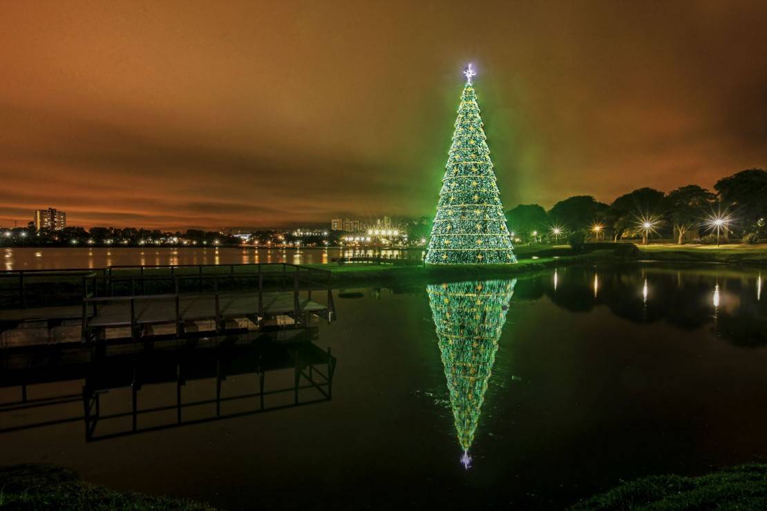 Arvore de Natal do Parque Barigui em Curitiba. Foto: André Rodrigues/Arquivo/Gazeta do Povo