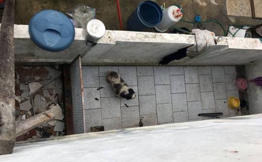 Foto: Divulgação/Polícia Civil.