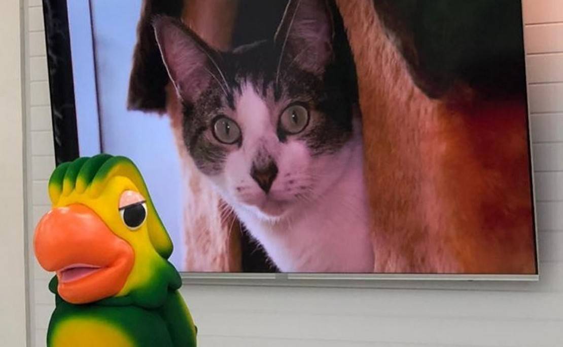 Foto: Reprodução/Instagram.