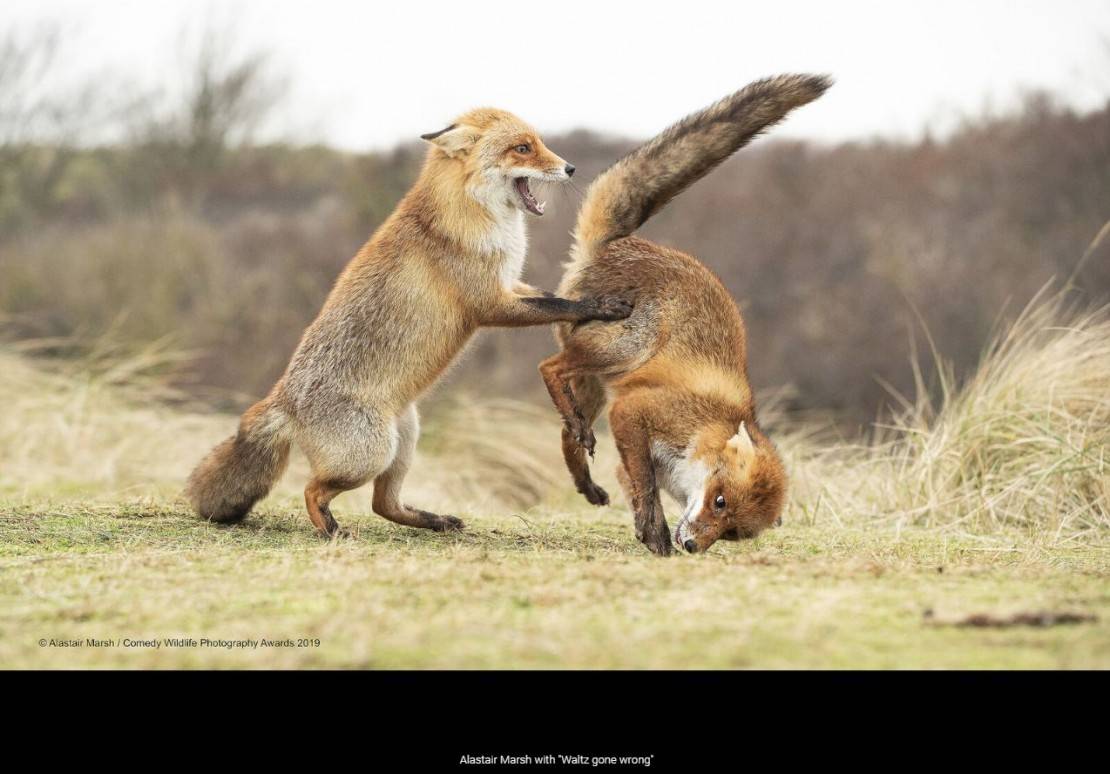 "Peida pra lá, pô". Foto: Alastair Marsh
