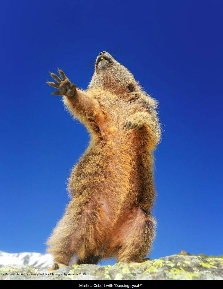 "Uma mão vai lá na frente... o movimento é sexy". Foto: Martina Gebert