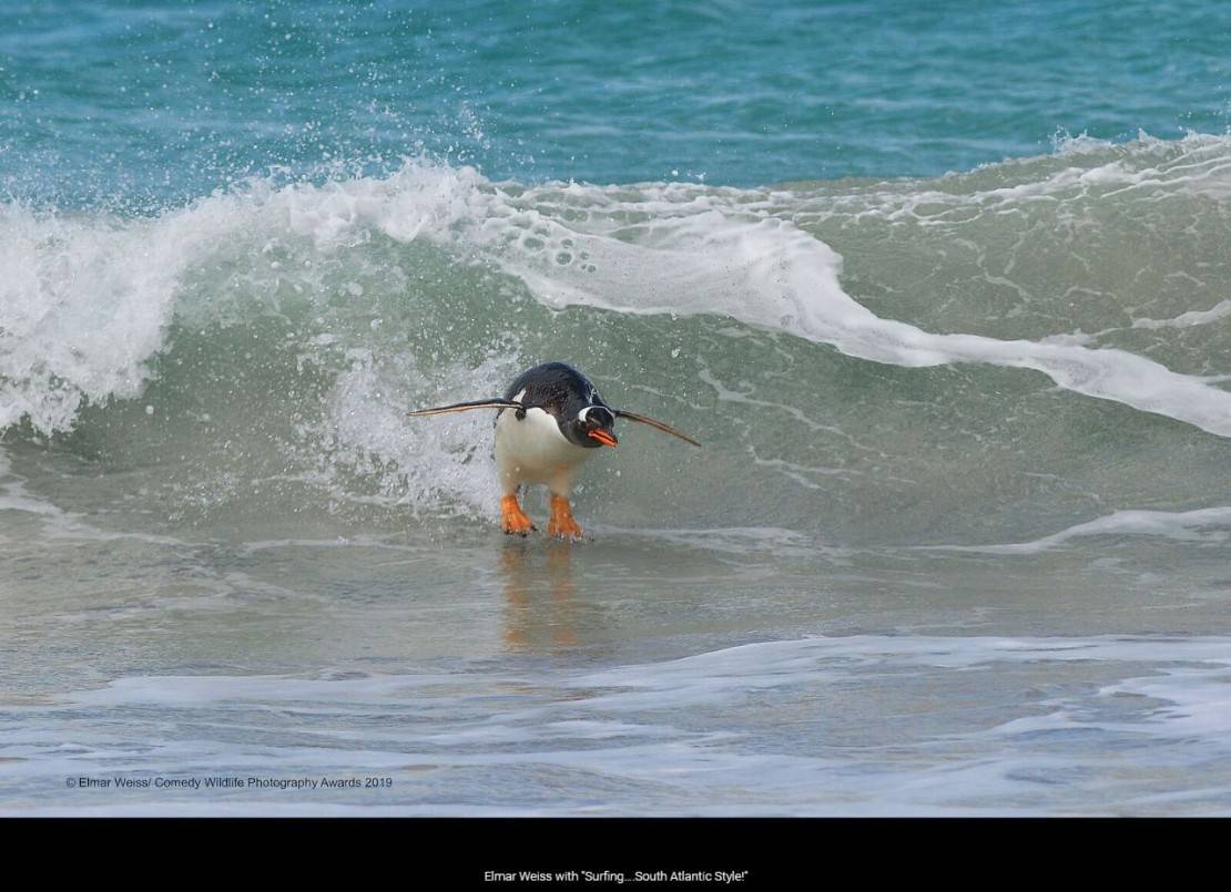 "Garota eu vou pra Califórniaaa...". Foto: Elmar Weiss