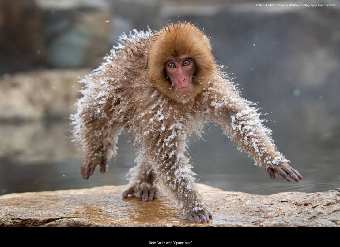 "Passei uns dias em Curitiba". Foto: Role Galitz