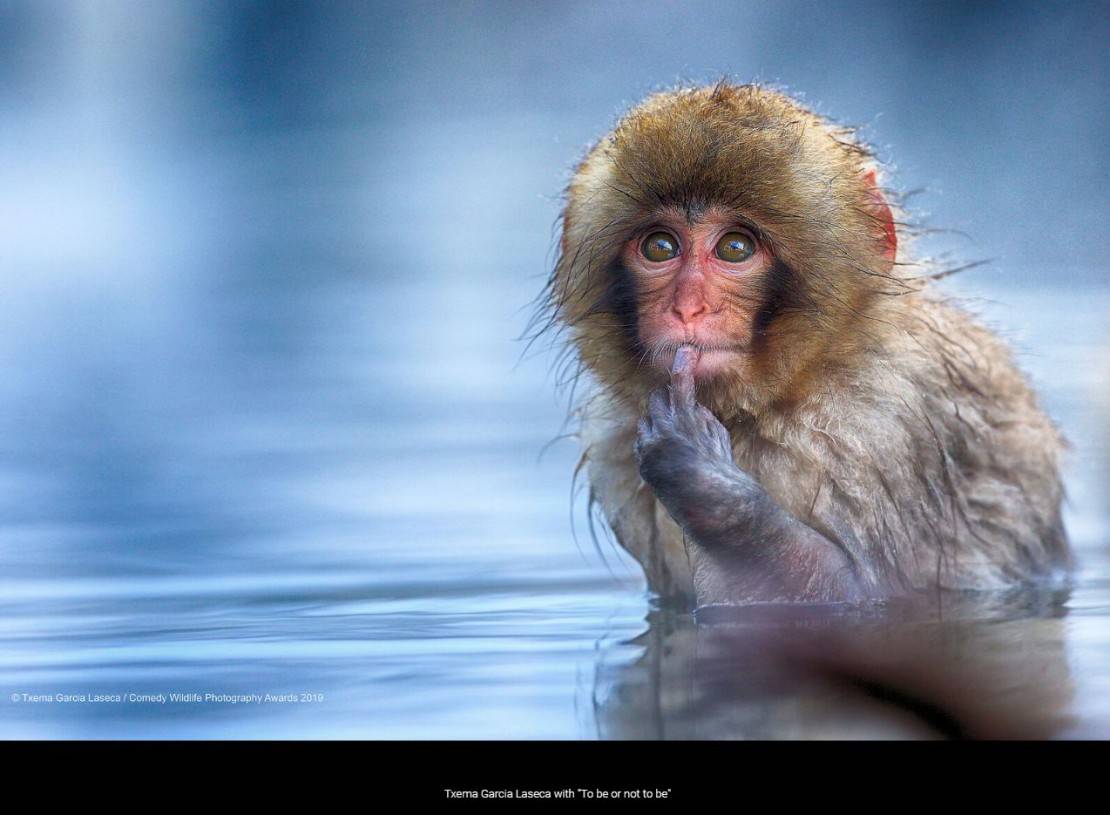 "Setembrochove?". Foto: Txema Garcia Laseca