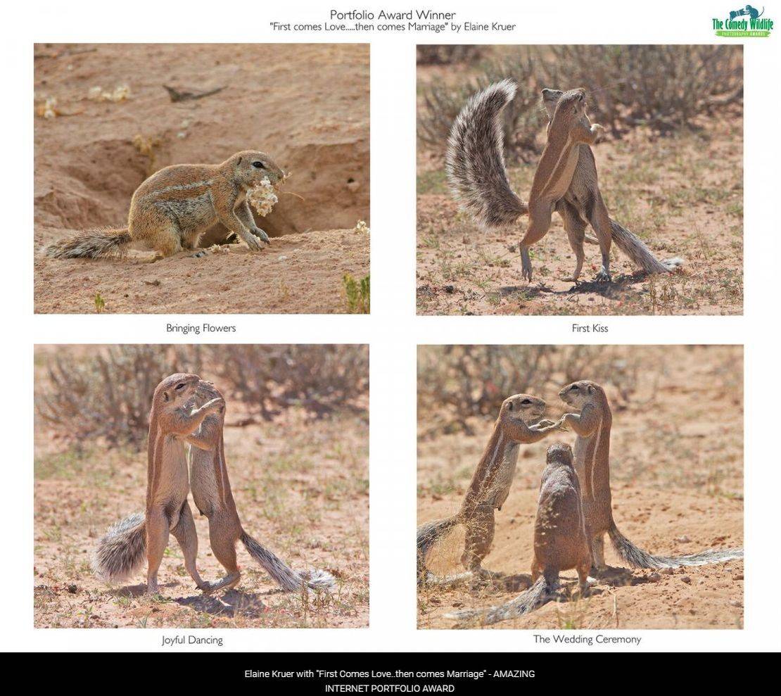 "Receba as flores que lhe dou...". Foto: Elaine Kruer