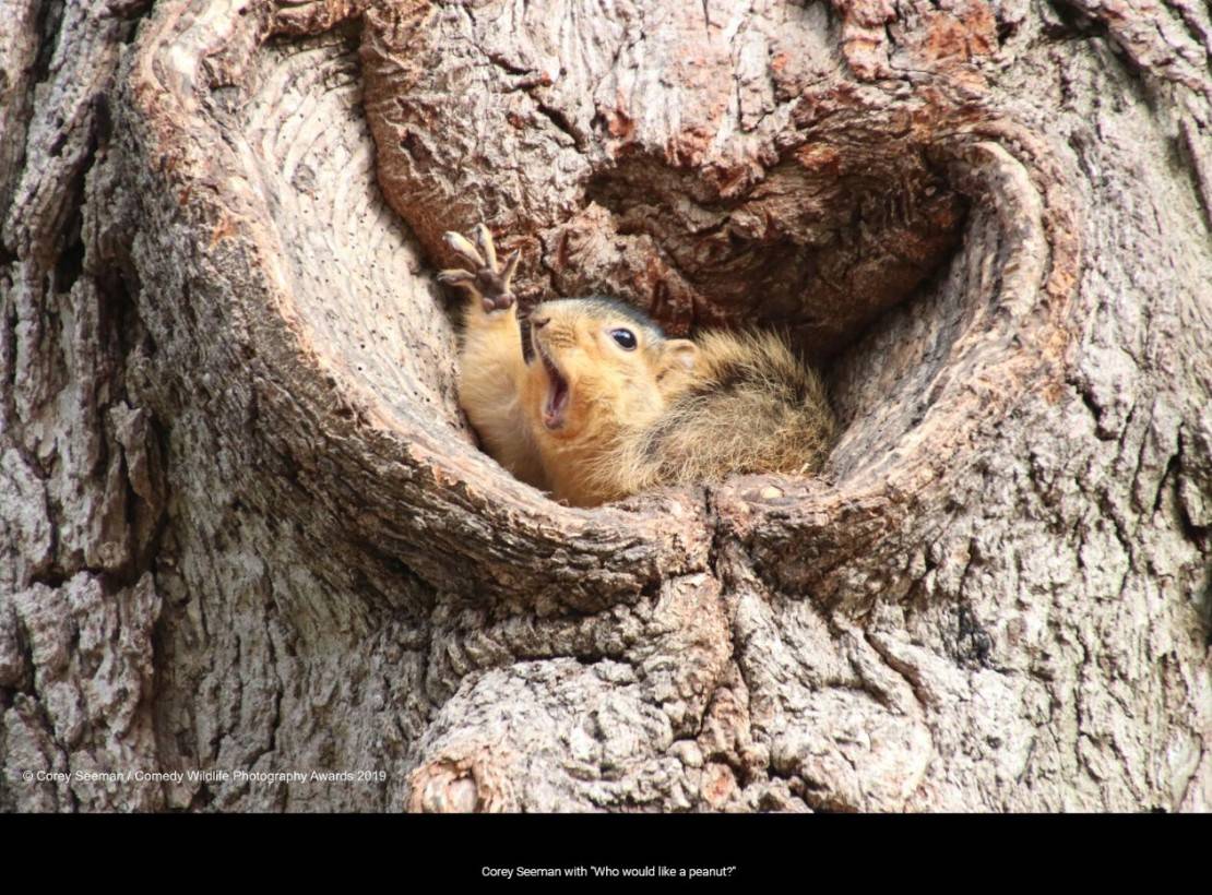 "Para com esse negócio de Caneta Azul". Foto: Corey Seeman
