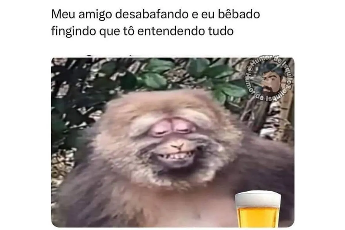 Imagem mostra um macaco rindo com a seguinte frase: Meu amigo desabafando e eu bêbado fingindo que tô entendendo tudo.