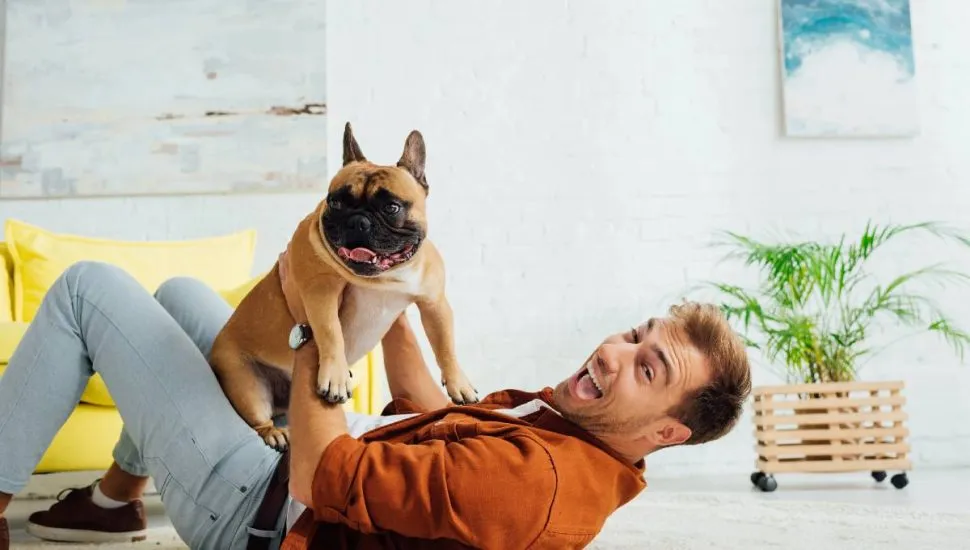 Imagem mostra um homem brincando no chão com um cachorro