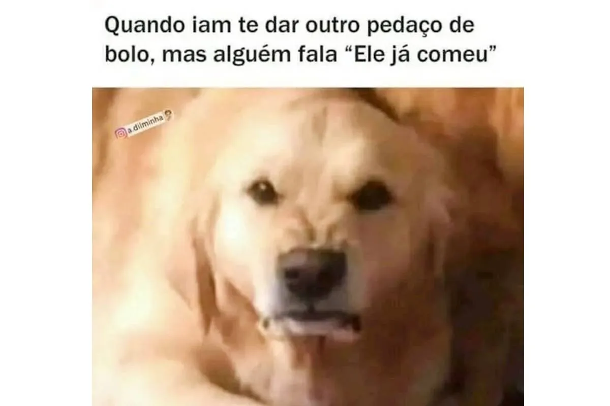 Imagem mostra um cachorro com cara de bravo e a seguinte frase: Quando iam te dar outro pedaço de bolo e alguém fala: "Ele já comeu"