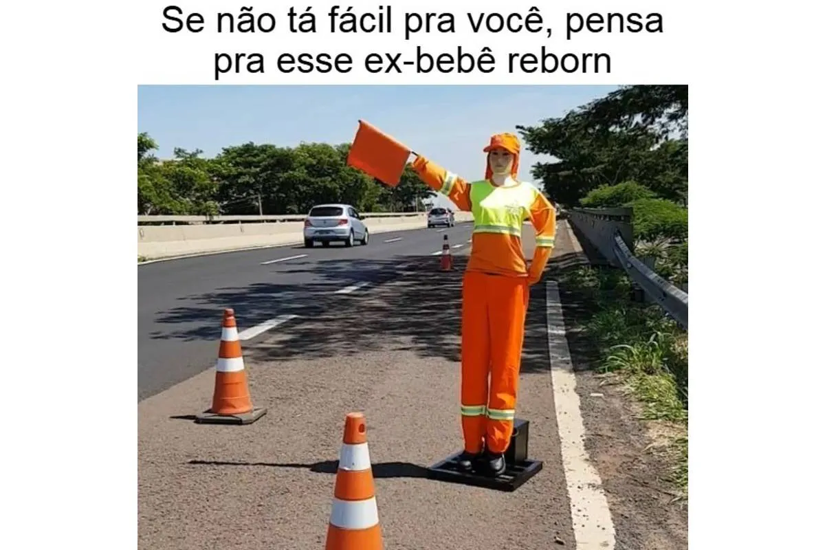 Se não tá fácil pra você, pensa para esse ex-bebê reborn.