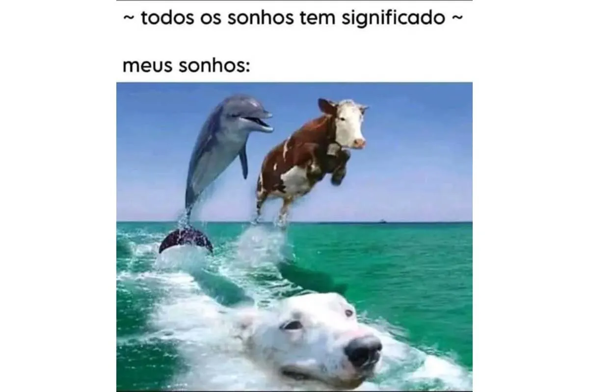 Qual é o significado do meu sonho? Criatividade complica a explicação!