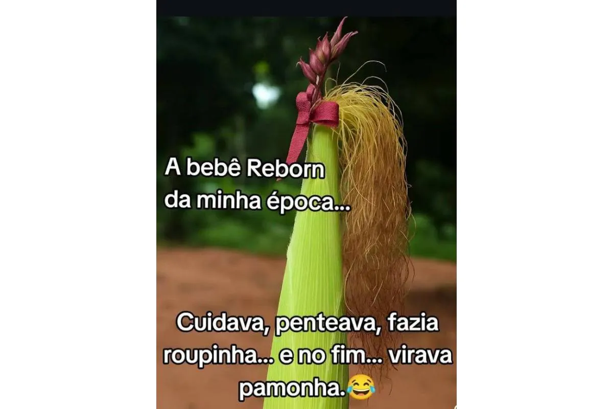 imagem mostra uma espiga de milho com a seguinte frase: A bebê reborn na minha época: cuidava, penteava, fazia roupinha e, no fim, virava pamonha.