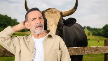 Imagem mostra um homem na cerca de uma fazenda posicionado na frente de um touro, com os chifres do animal perfeitamente posicionados na cabeça dele.