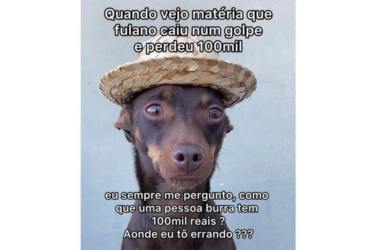 Imagem mostra um cachorro com cara de espanto e a seguinte mensagem: Quando vejo uma matéria que fulano caiu num golpe e perdeu R$ 100 mil: "Como é que uma pessoa burra tem R$ 100 mil? Onde estou errando??"