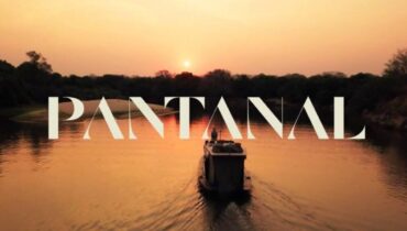 Pantanal logo