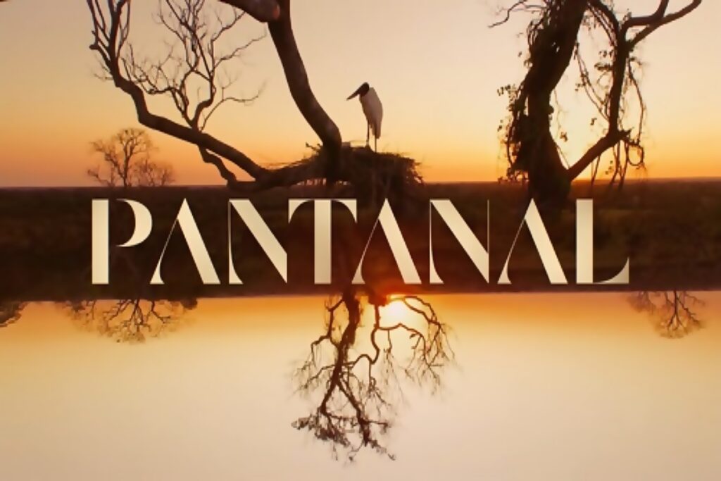 Pantanal