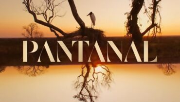 Pantanal